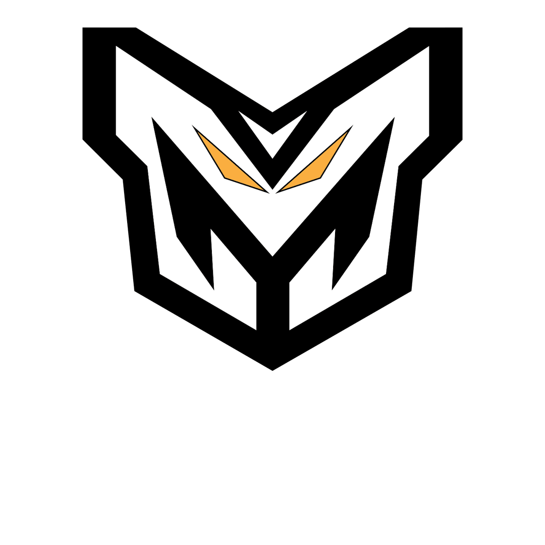 Manjoy Gadget